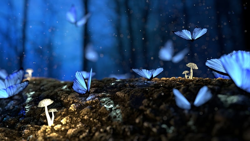 Enchanted dwellings