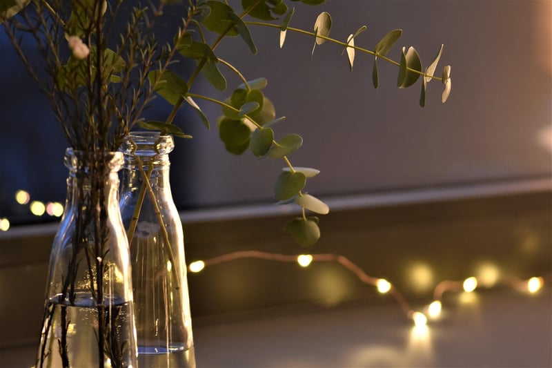 Fairy Lights