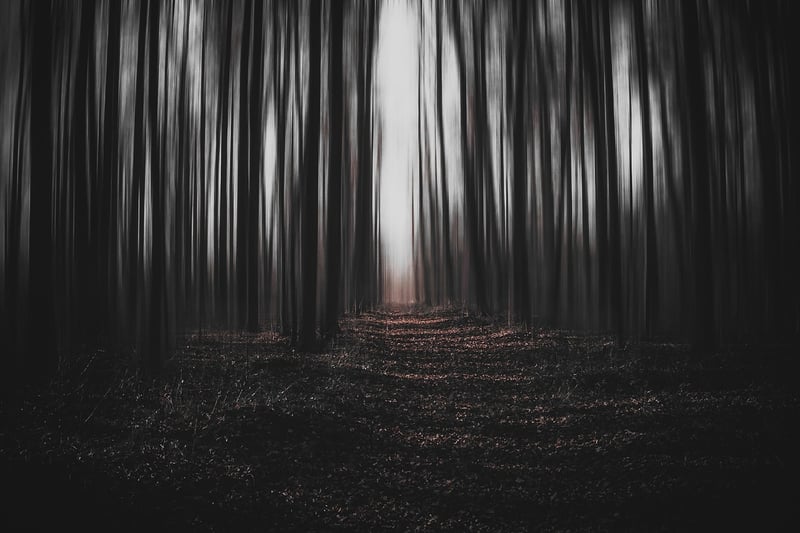 Enchanted Pathway